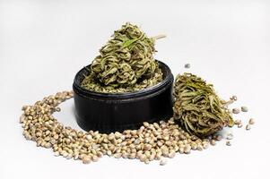 herb grinder full of crushed buds and dry flowers of medical marijuana surrounded by seeds close up on white background photo