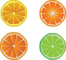 Fresco naranja limón frutas vector