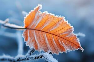 Frost on leaf in winter morning. Generative AI photo