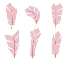 Set of pink feathers in flat style. vector