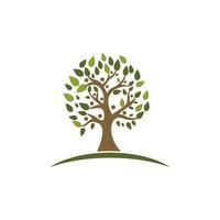 family tree logo template vector