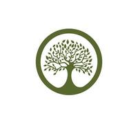 logotipos de la ecología de la hoja del árbol verde vector