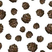 Pine cone seamless pattern. Botanical hand drawn vector background.