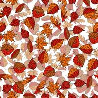 Vector hand drawn seamless pattern of fall leaves of birch, oak, maple, ash trees