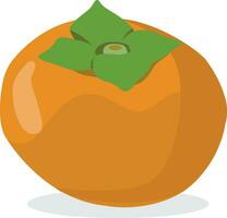 Persimmon, flat style vector illustration isolated on white background