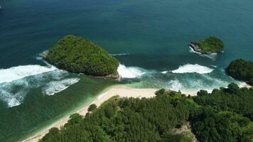 le étourdissant vue de une plage sur le île de Java, comme bien comme le temps est très ensoleillé video