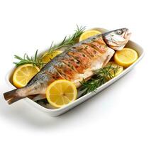 Whole sea bass baked with lemon tastefully isolated on a white background photo