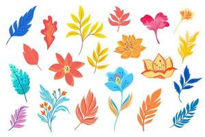 Set of colorful leaves and flowers. Vector elements for decorative floral design. Isolated objects on white background.