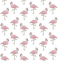 Vector seamless pattern of pink hand draw flamingo