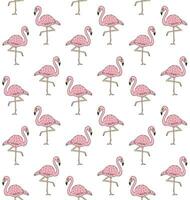 Vector seamless pattern of pink hand draw flamingo