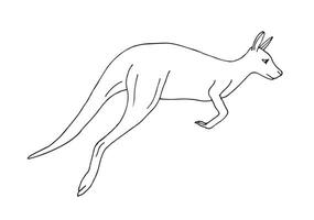 Vector hand drawn sketch kangaroo