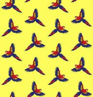 Vector seamless pattern of hand drawn macaw parrot