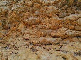 texture of stone on the beach at East Java photo