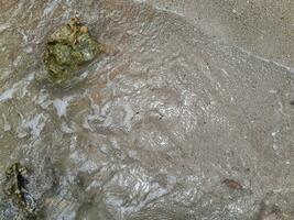 texture of stone on the beach at East Java photo