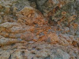 texture of stone on the beach at East Java photo