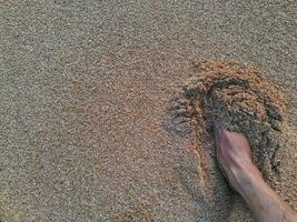 footprints on the sand photo