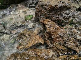 texture of stone on the beach at East Java photo