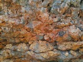 texture of stone on the beach at East Java photo