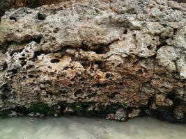 texture of stone on the beach at East Java photo