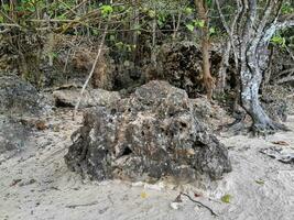 Rock scenery and sea sand in the coastal photo