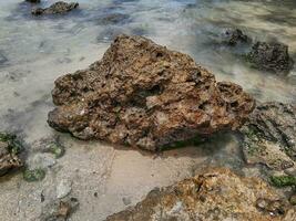 Coral stone on the shore at East Java beach photo