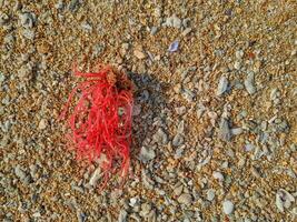 lleno marco Disparo de hermosa playa arena en el verano Dom. foto