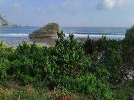 a view of the ocean from the top of a hill with a cliff in the foreground and a body of water in the background. photo