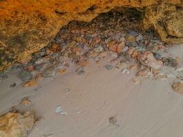 Coral stone on the shore at East Java beach photo