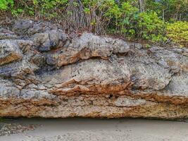 Rock scenery and sea sand in the coastal photo