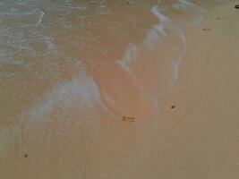 Texture of the sand on the East Java beach photo