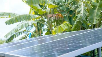 Solar panel . Green banana tree background and sky. Clean. Alternative energy concept. photo