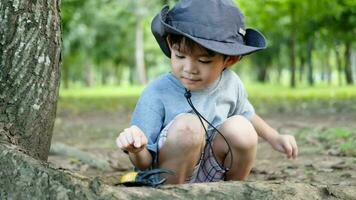 asiático chico vistiendo un sombrero en un bosque exploración traje encuesta el árbol área. video