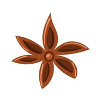 Anise star on a white background. Isolated vector illustration