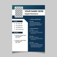 Infographic CV template. Classy employment interview minimalist sample simple applications resume creative vector illustration design. professional corporate curriculum vitae