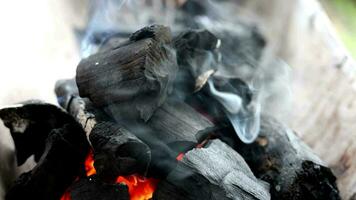 houtskool brand voor barbecue en grillen. visie van camping houtskool pik brand beginner brandend tussen de houtskool. video