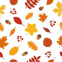 Autumn seamless pattern vector