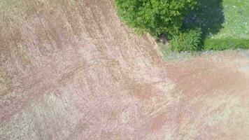 aérien vue de le Vendée campagne video