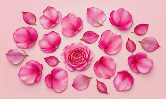 Pink rose petals set on pink background photo