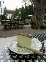 Piece of cheesecake serving in the garden photo