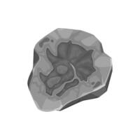 Ancient dinosaur fossil in stone, Triceratops head vector