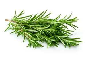 Twig of rosemary on a white background. Generative AI photo