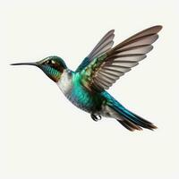 Flying hummingbird isolated on white background. AI Generative photo