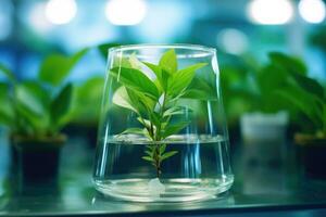 Plant research, green plant in a glass jar in a laboratory. Ecological breeding and plant development. photo