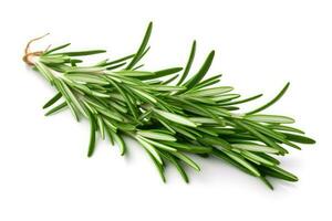Twig of rosemary on a white background. AI Generative photo