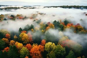 Aerial view of beautiful colorful autumn forest in low clouds at sunrise. photo