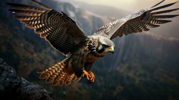 volador halcón en el naturaleza foto