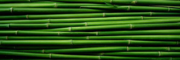 Horizontal green bamboo background texture. Generative AI photo