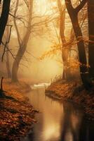 Magic autumn forest with walking path, beautiful autumn landscape. photo