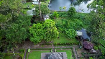 le apparence de sumberawan temple de au dessus spectacles une très vert tropical forêt video