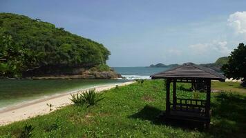 prendre de à le bord de tanjung penyu mas plage lequel est très nettoyer avec clair eau, malang, est Java, Indonésie video